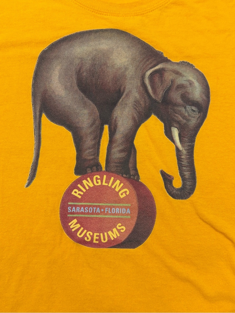 Vintage Y2K Ringling Museums Sarasota Florida Elephant T Shirt 2XL Gildan - Picture 3 of 10